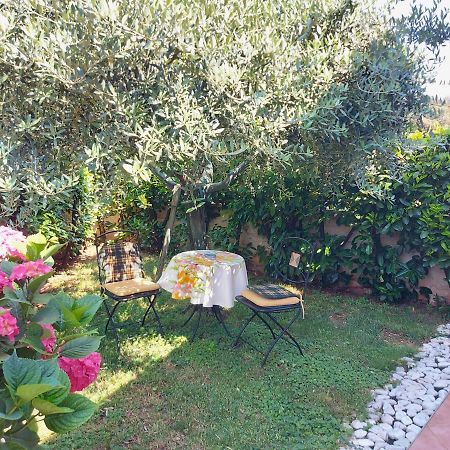 Appartamento Alida Umag Luaran gambar
