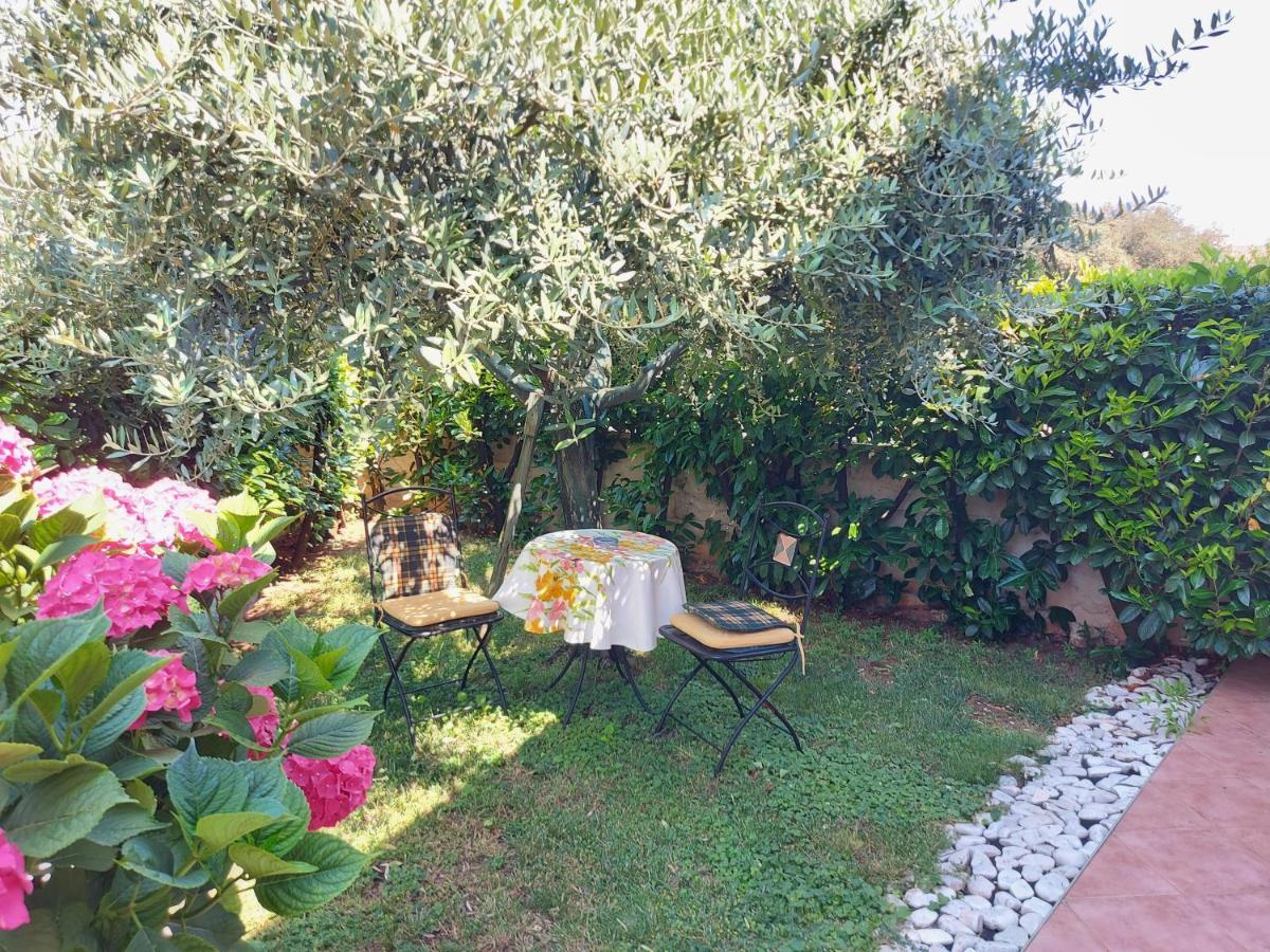 Appartamento Alida Umag Luaran gambar