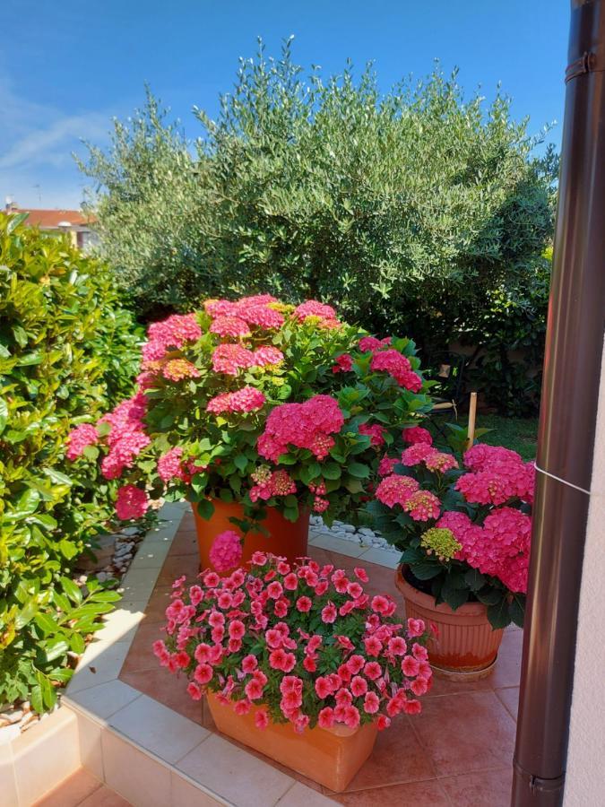 Appartamento Alida Umag Luaran gambar